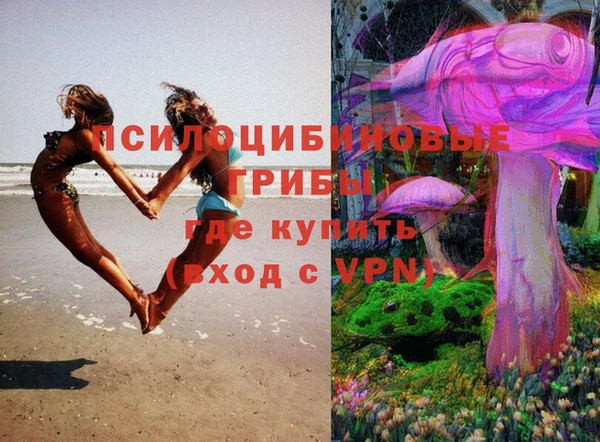 спиды Бородино