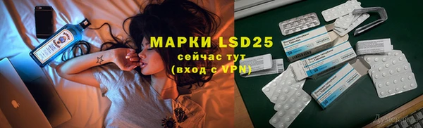 спиды Бородино