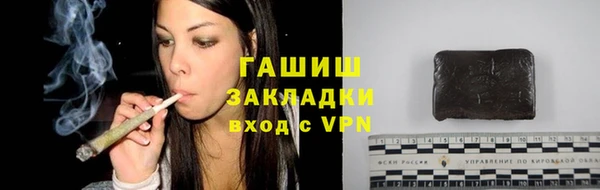 спиды Бородино