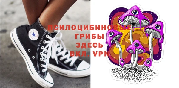 спиды Бородино
