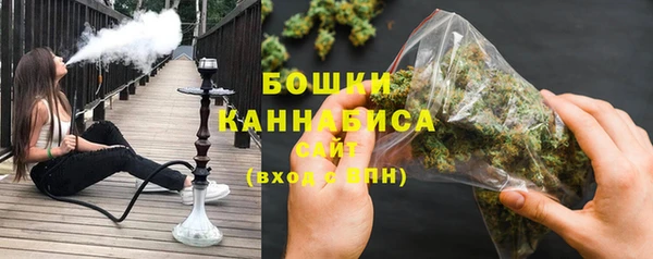 спиды Бородино
