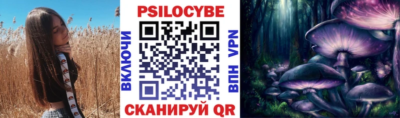 Псилоцибиновые грибы мухоморы kraken tor Медногорск наркотики